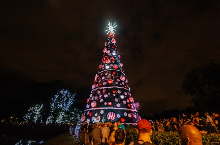 Árvore de Natal do Ibirapuera é inaugurada em São Paulo