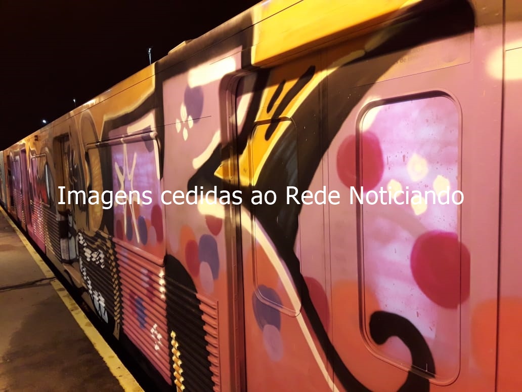 Trem vandalizado no Metrô