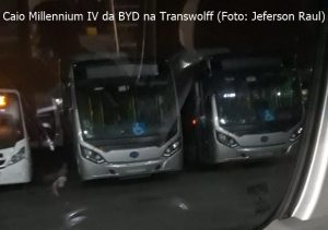 BYD SPTrans