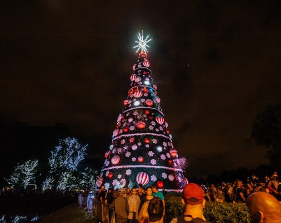 árvore de Natal do Ibirapuera
