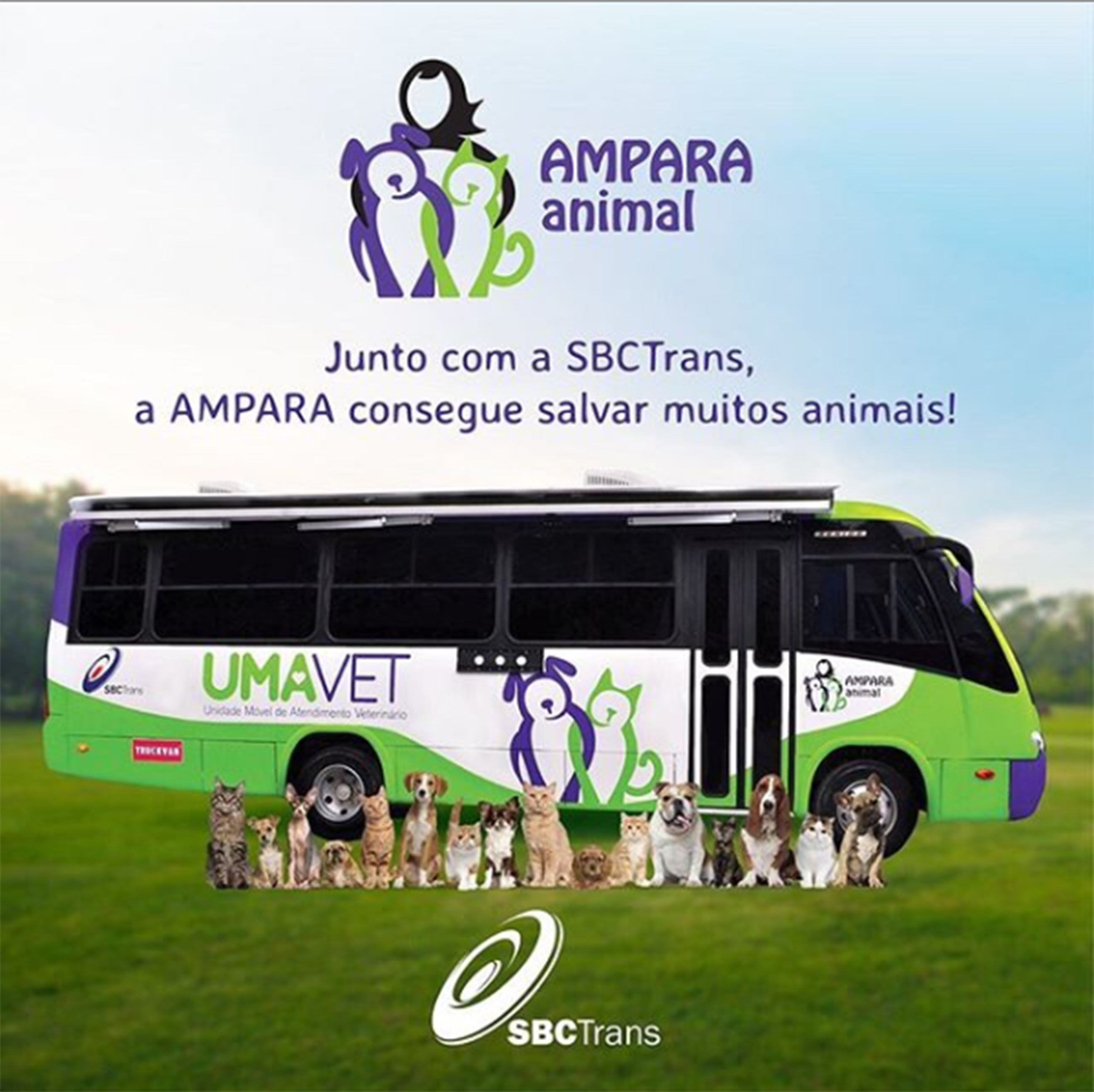 SBCTrans Ampara Animal