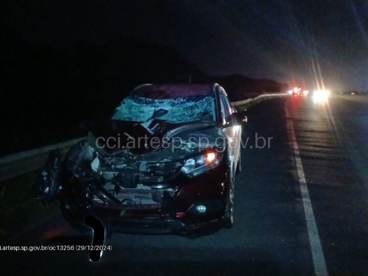 Ciclista morre após ser atropelado na Rodovia Padre Manuel da Nóbrega em Itanhaém