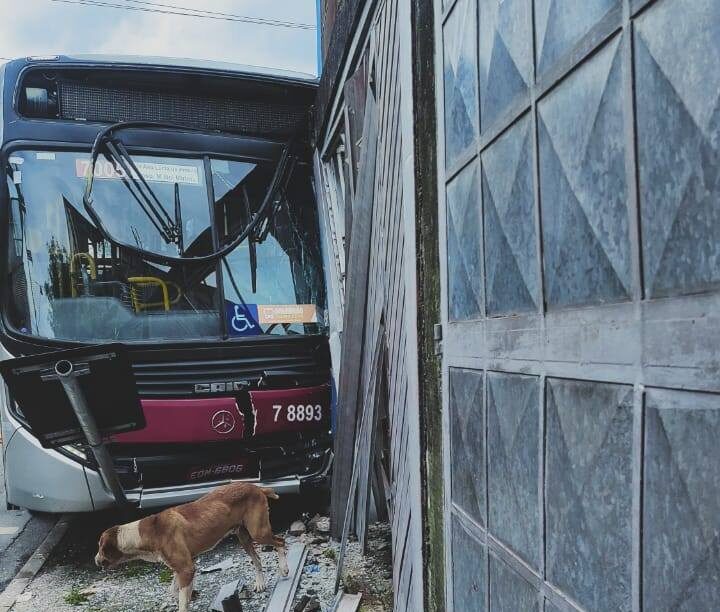 Ônibus da TransWolff colide contra muro e portão de imóvel no Jardim Vera Cruz