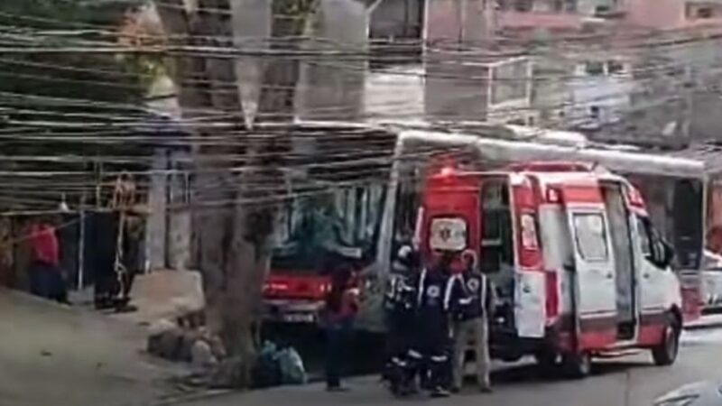 Ônibus colide com árvore na Zona Leste de SP e deixa 13 feridos