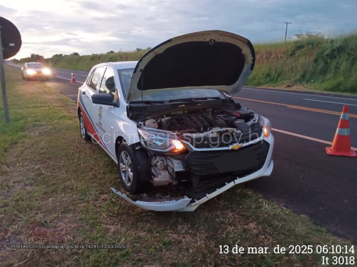 Carro da Prefeitura de Quatá atropela cachorro em rodovia paulista