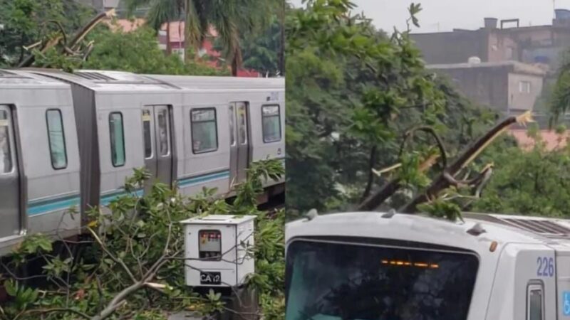 Queda de galhos de árvore afeta circulação na Linha 3-Vermelha