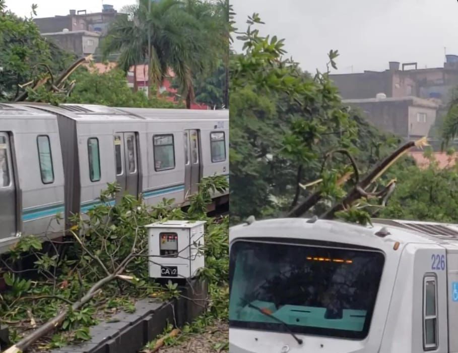 Queda de galhos de árvore afeta circulação na Linha 3-Vermelha