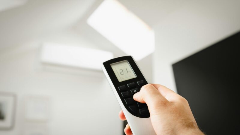 A importância da ventilação e iluminação natural para afastar pragas