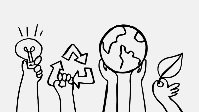 Sustentabilidade na prática: como diferentes setores estão reduzindo impactos ambientais